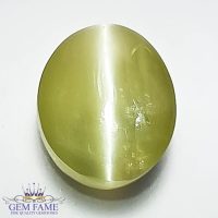 Chrysoberyl Cat's Eye 6.44ct Gemstone India