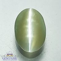 Chrysoberyl Cat's Eye 1.54ct Gemstone India