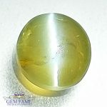 Chrysoberyl Cat's Eye 1.48ct Gemstone India
