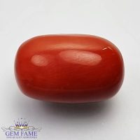 Coral (Moonga) Gemstone 15.66ct Italy