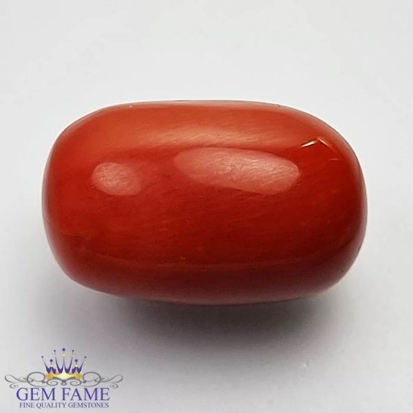 Coral (Moonga) Gemstone 15.66ct Italy