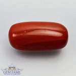 Coral (Moonga) Gemstone 6.95ct Italy