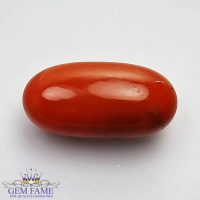 Coral (Moonga) Gemstone 5.97ct Italy