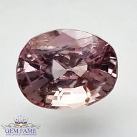 Padparadscha Sapphire 1.61ct Stone Ceylon