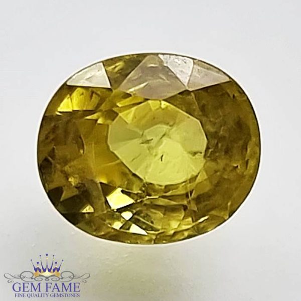 Yellow Sapphire 1.59ct Natural Gemstone Thailand