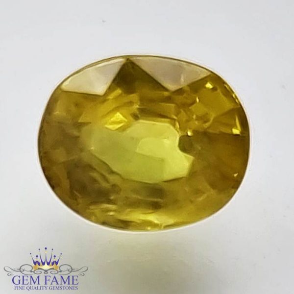 Yellow Sapphire 1.46ct Natural Gemstone Thailand
