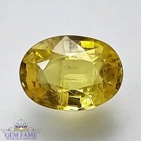 Yellow Sapphire 1.46ct Natural Gemstone Thailand