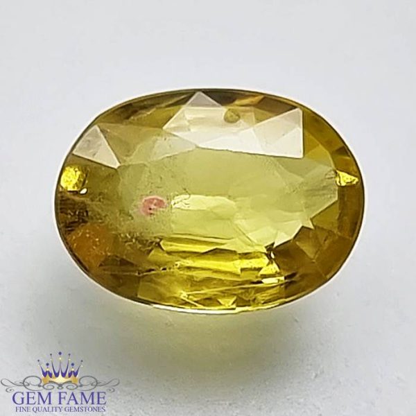 Yellow Sapphire 1.70ct Natural Gemstone Thailand
