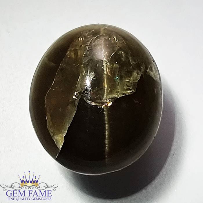 Apatite Cat's Eye Gemstone 15.68ct