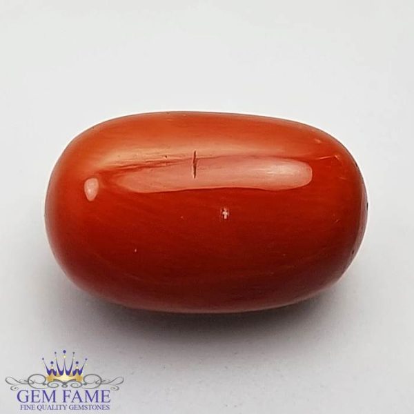 Coral (Moonga) Gemstone 11.80ct Italy