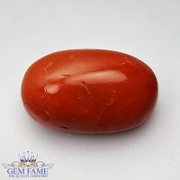 Coral (Moonga) Gemstone 10.35ct Italy