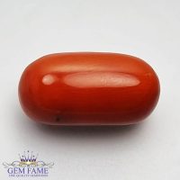 Coral (Moonga) Gemstone 11.50ct Italy