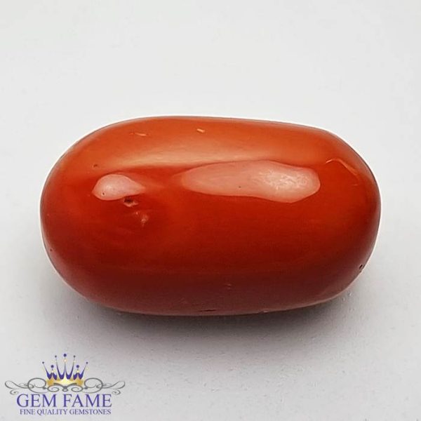 Coral (Moonga) Gemstone 13.33ct Italy