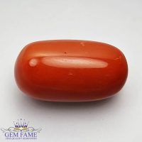 Coral (Moonga) Gemstone 12.31ct Italy