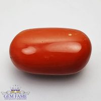 Coral (Moonga) Gemstone 12.80ct Italy