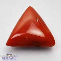 Coral (Moonga) Gemstone 19.26ct Italy