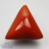 Coral (Moonga) Gemstone 14.03ct Italy