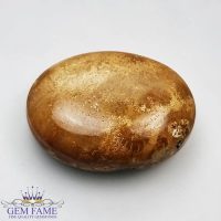 Fossil Coral 13.94ct Gemstone Indonesia