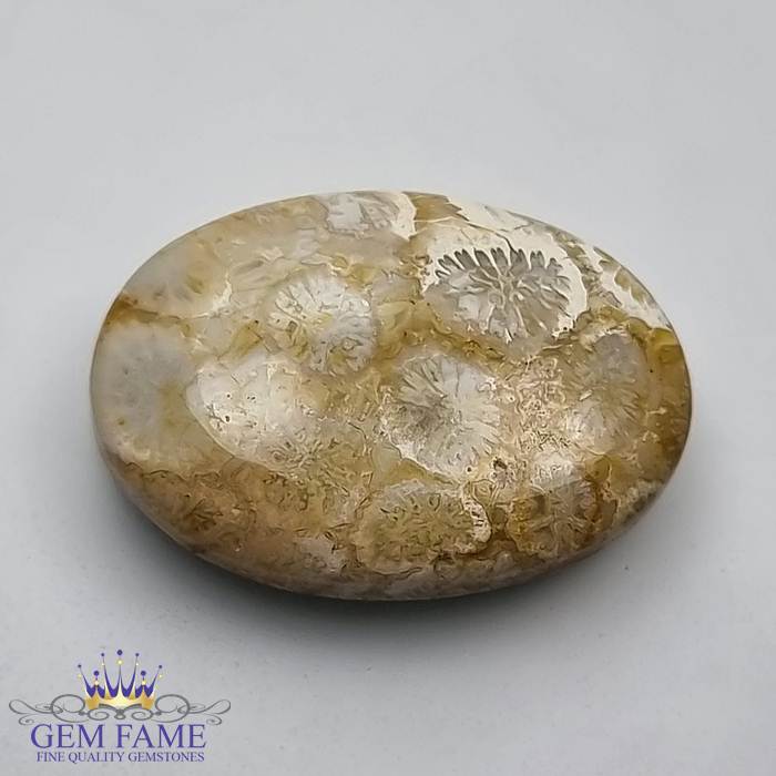 Fossil Coral Gemstone 18.07ct Indonesia