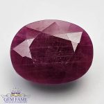 Ruby 19.60ct (Manik) Gemstone India