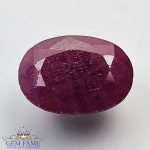 Ruby 9.07ct (Manik) Gemstone India