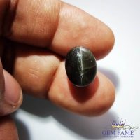 Scapolite Cat's Eye 11.56ct Gemstone India