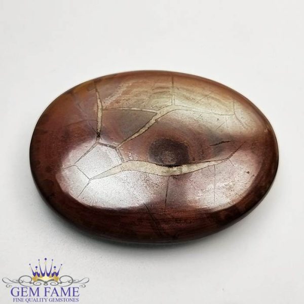 Septarian Gronates 46.28ct Madagascar