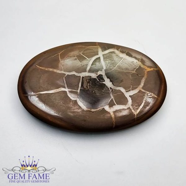 Septarian Gronates 27.76ct Madagascar