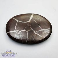 Septarian Gronates 25.65ct Madagascar