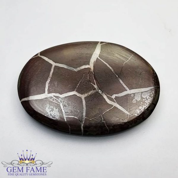 Septarian Gronates 25.65ct Madagascar