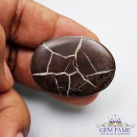 Septarian Gronates 26.49ct Madagascar