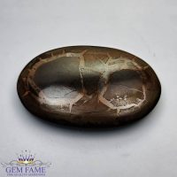 Septarian Gronates 30.70ct Madagascar