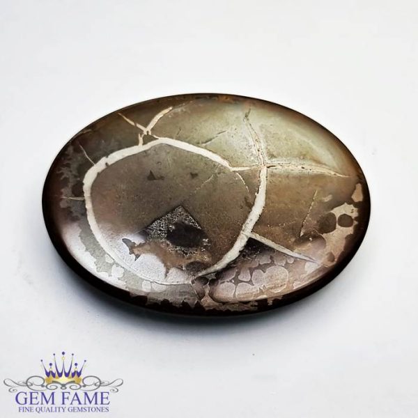 Septarian Gronates 26.49ct Madagascar