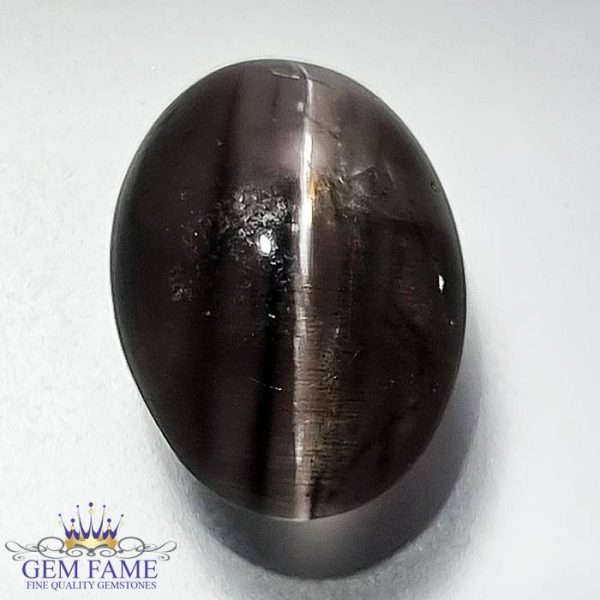 Sillimanite Cat's Eye 6.41ct Rare Natural Gemstone