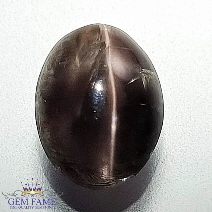 Sillimanite Cat's Eye 4.50ct Rare Natural Gemstone