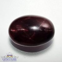 Star Garnet Gemstone 17.29ct India