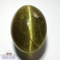 Apatite Cat's Eye Gemstone 36.26ct India