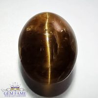 Apatite Cat's Eye Gemstone 31.14ct India