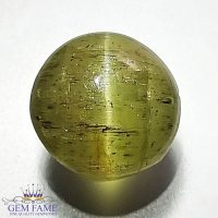 Apatite Cat's Eye Gemstone 8.79ct India