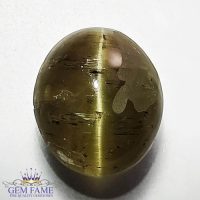Apatite Cat's Eye Gemstone 6.89ct India