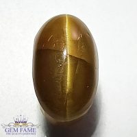 Apatite Cat's Eye Gemstone 6.71ct India