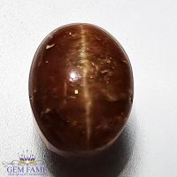 Apatite Cat's Eye Gemstone 5.23ct India