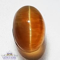 Apatite Cat's Eye Gemstone 2.99ct India