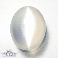 Moonstone Cat's Eye 2.75ct Gemstone India