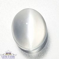 Moonstone Cat's Eye 2.45ct Gemstone India