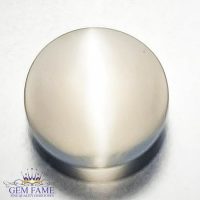 Moonstone Cat's Eye 4.23ct Gemstone India