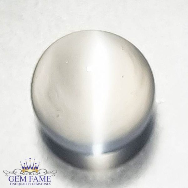 Moonstone Cat's Eye 2.94ct Gemstone India