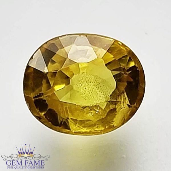 Yellow Sapphire 1.53ct Natural Gemstone Thailand