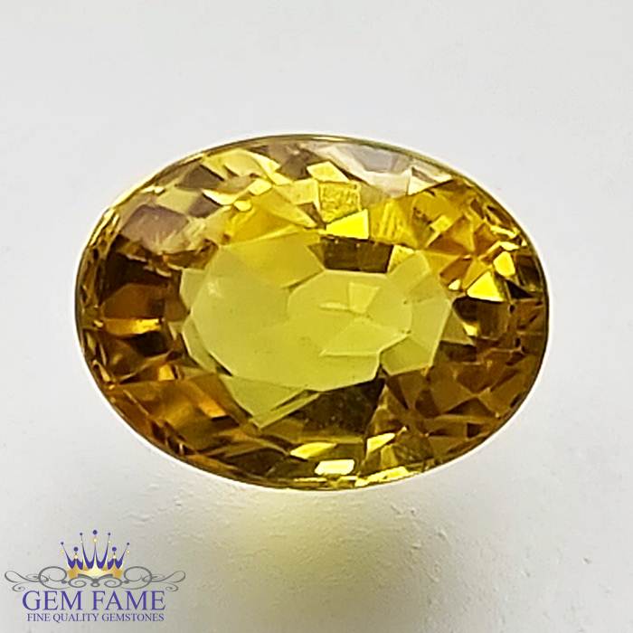 Yellow Sapphire 1.58ct Natural Gemstone Thailand