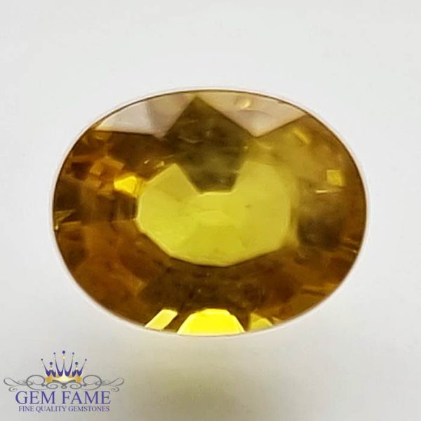Yellow Sapphire 1.47ct Natural Gemstone Thailand